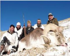 wakhan shamir pamir hunting